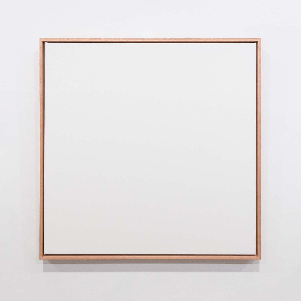 Standard Frame - Flooded Gum - White Canvas