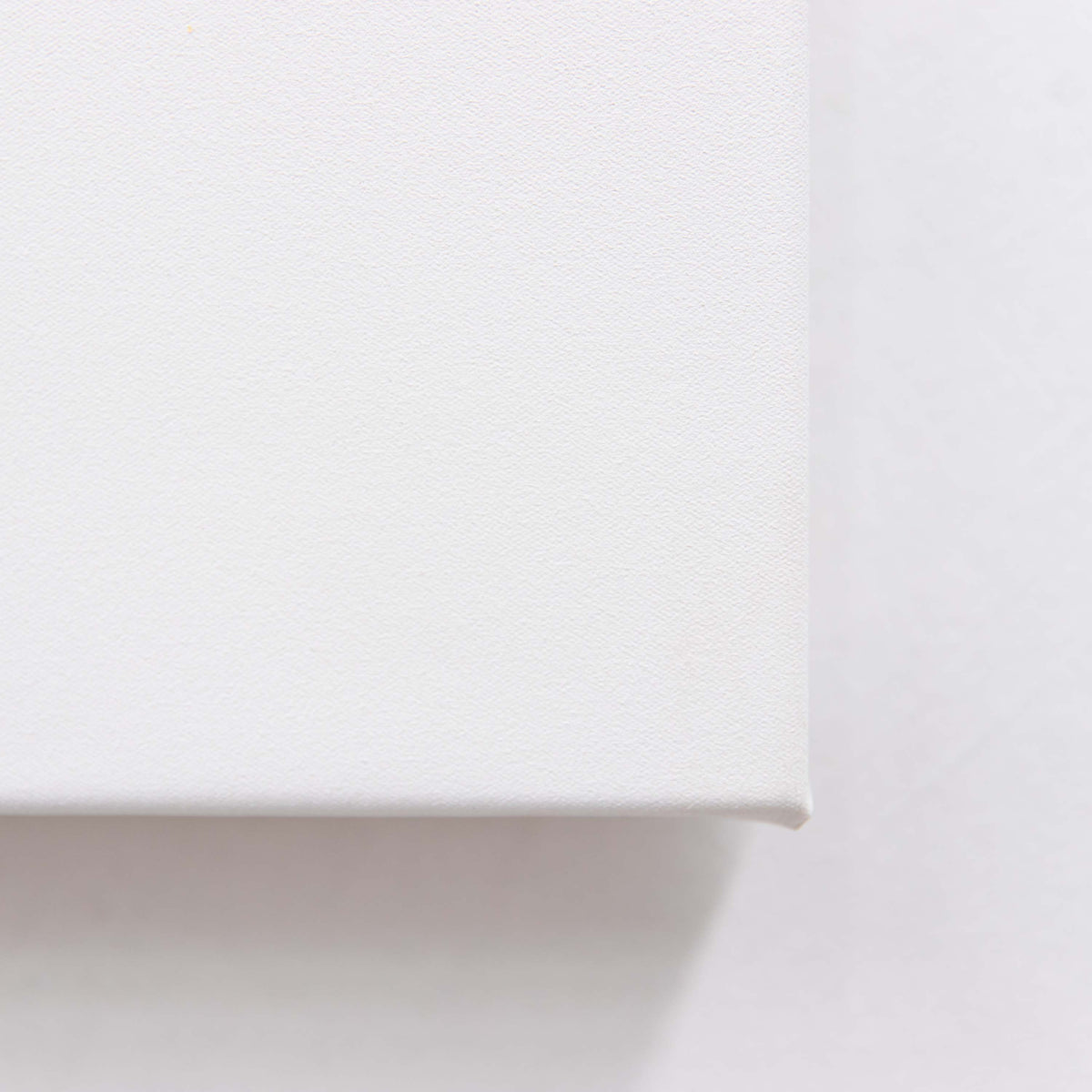 White Unframed Artists Canvas